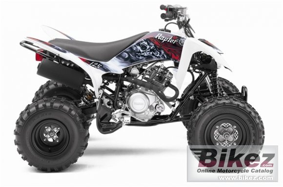 2011 Yamaha Raptor 125 photo